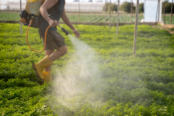 Best Ant Control Services  in Hartley, CA