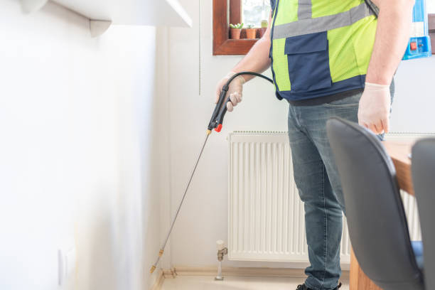 Best Flea Control Services  in Hartley, CA