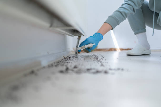 Best Residential Pest Control  in Hartley, CA